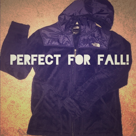 The North Face Jackets & Blazers - ⭐️GREAT DEAL!⭐️ The North Face Oso jacket
