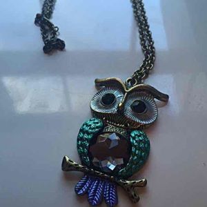 NWOT owl necklace