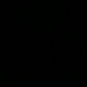 Meet your Posher, Connie