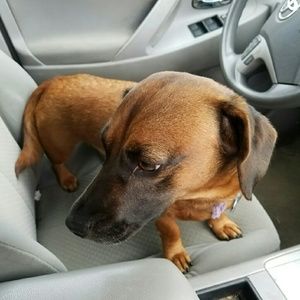 Meet your Posher, Katelynn