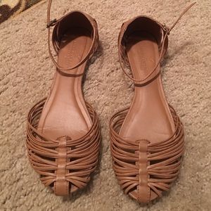 American eagle flats