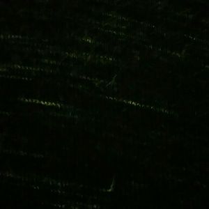 Meet your Posher, Lacy