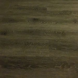 Meet your Posher, Abinaya