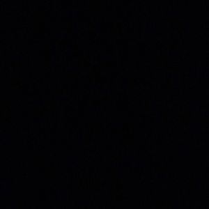 Meet your Posher, Travis