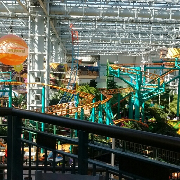 Meet your Posher, Latearia - Picture 1 of 1