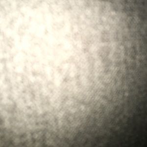 Meet your Posher, Michele