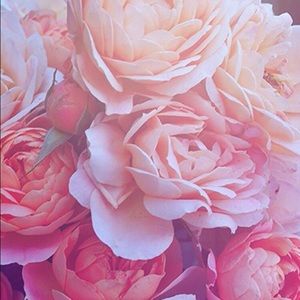 Meet your Posher, Tiffani