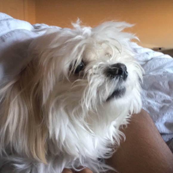 Meet your Posher, Timothy