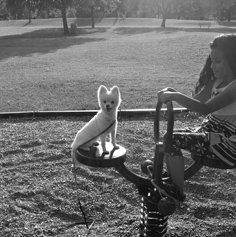 Meet your Posher, Maria