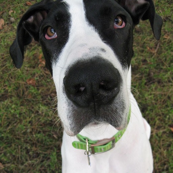 Meet your Posher, Kristie