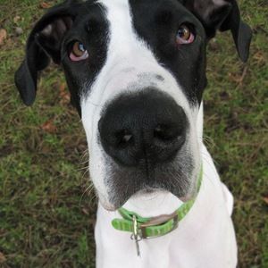 Meet your Posher, Kristie