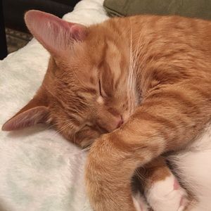 Meet your Posher, Kaitlyn