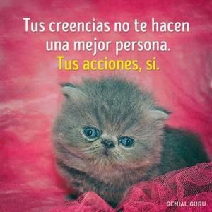 Meet your Posher, Montes