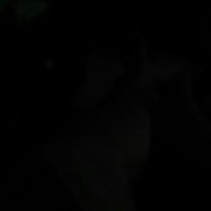 Meet your Posher, Lynn