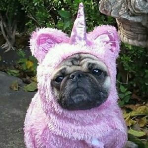 Meet your Posher, Gina