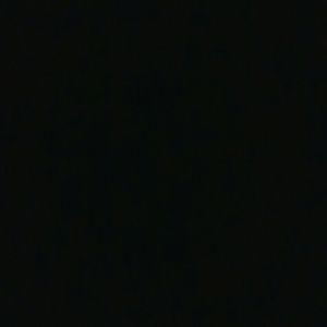 Meet your Posher, Sidney