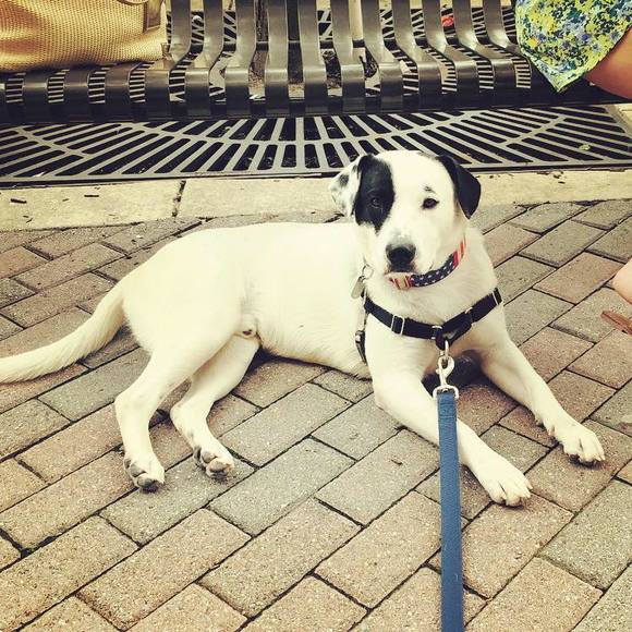 Meet your Posher, Victoria