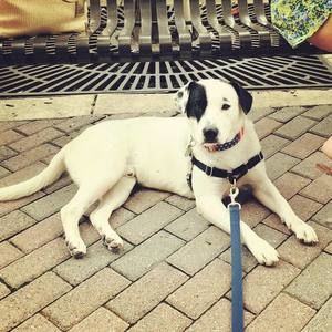 Meet your Posher, Victoria