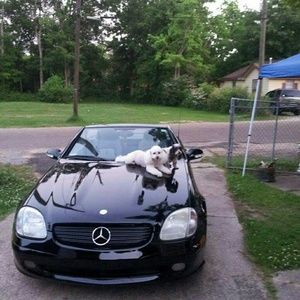 Meet your Posher, Edward