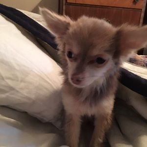 Meet your Posher, Sara