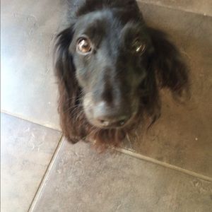 Meet your Posher, L
