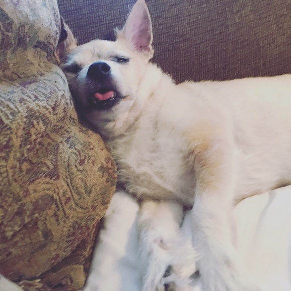 Meet your Posher, Liz - Picture 1 of 1