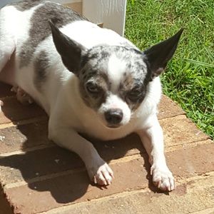 Meet your Posher, Sharon