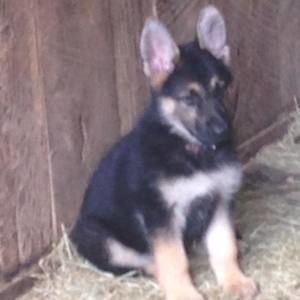 Meet your Posher, Malinda