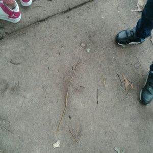 Meet your Posher, Roxana