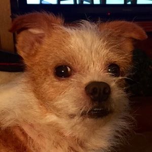 Meet your Posher, Barbara