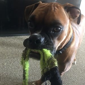 Meet your Posher, Evan