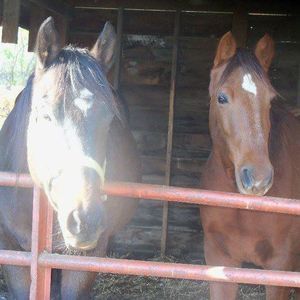 Meet your Posher, Mary