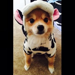 Meet your Posher, Donghee