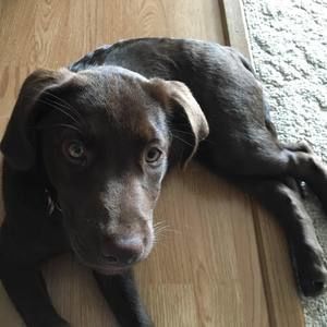 Meet your Posher, Becky