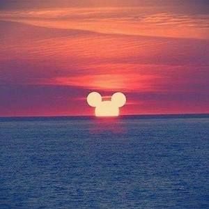 Meet your Posher, Bonnie