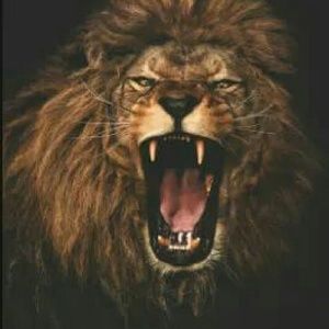 Meet your Posher, Al