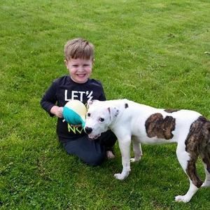 Meet your Posher, Monica