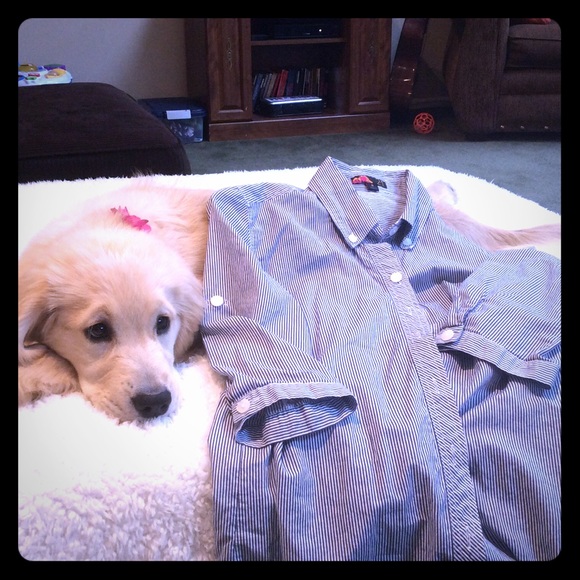 Perfect blue and white pinstripe shirt