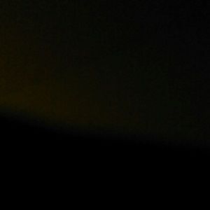 Meet your Posher, Tamara