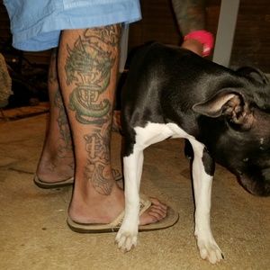 Meet your Posher, Jim