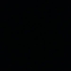 Meet your Posher, Lamonte