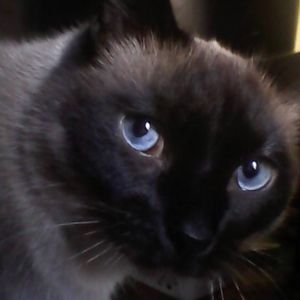 Meet your Posher, Lori