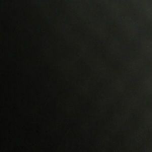 Meet your Posher, Rodney