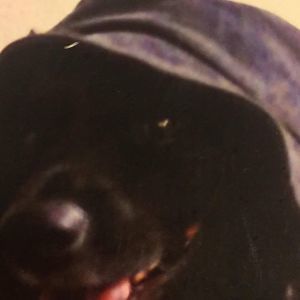 Meet your Posher, Jo