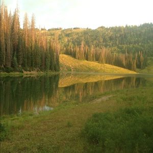 Meet your Posher, William