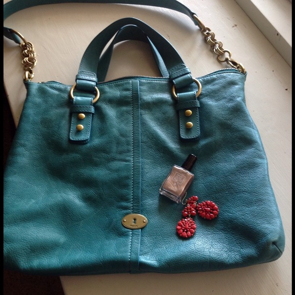 Large fossil handbag!
