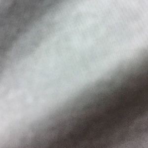 Meet your Posher, Quitman