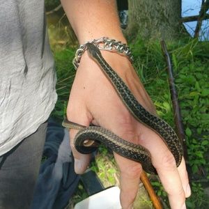 Meet your Posher, Hung