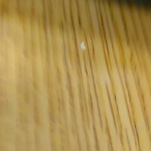 Meet your Posher, Blake