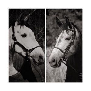 Meet your Posher, Joanne